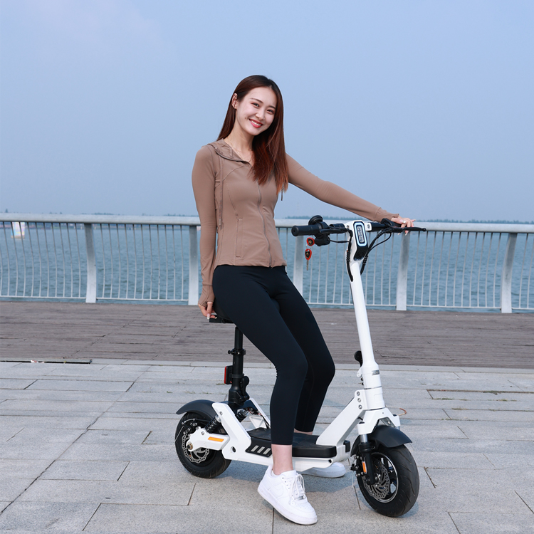 electric scooter1