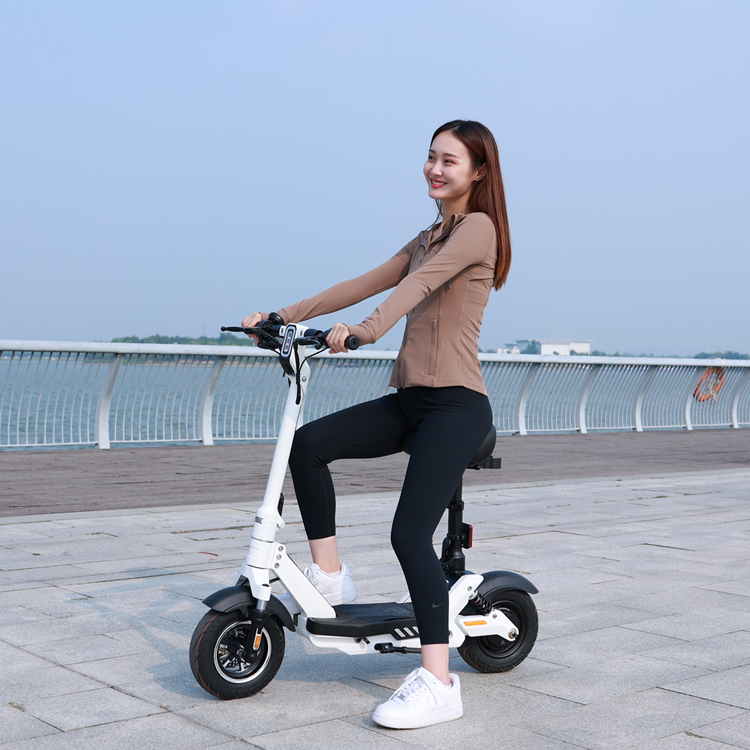 electric scooter2