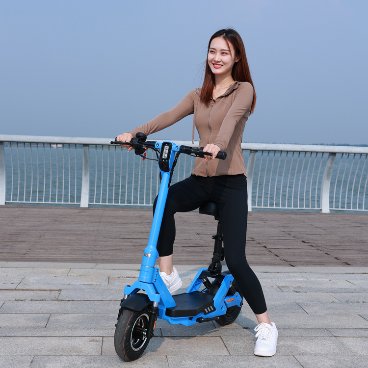 electric scooter3