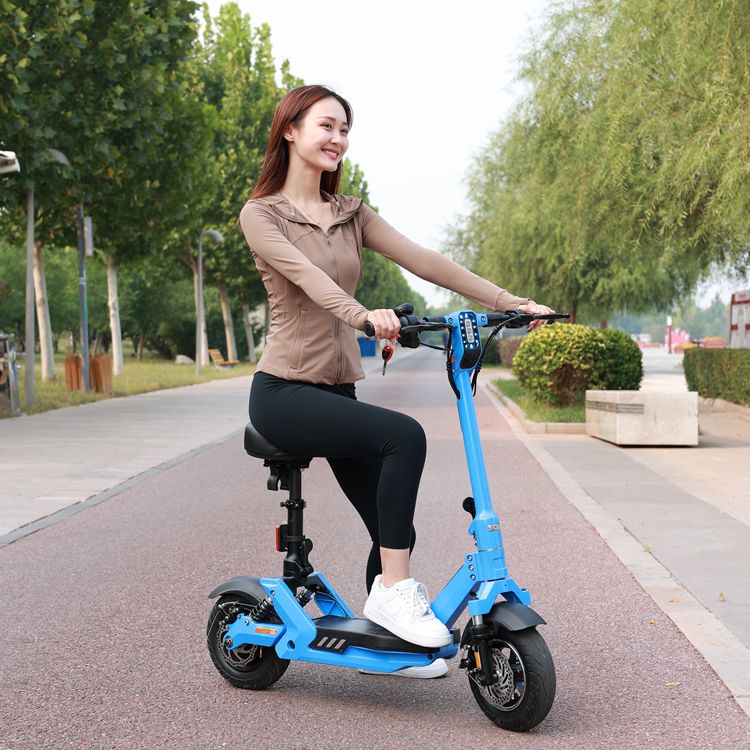 electric scooter4